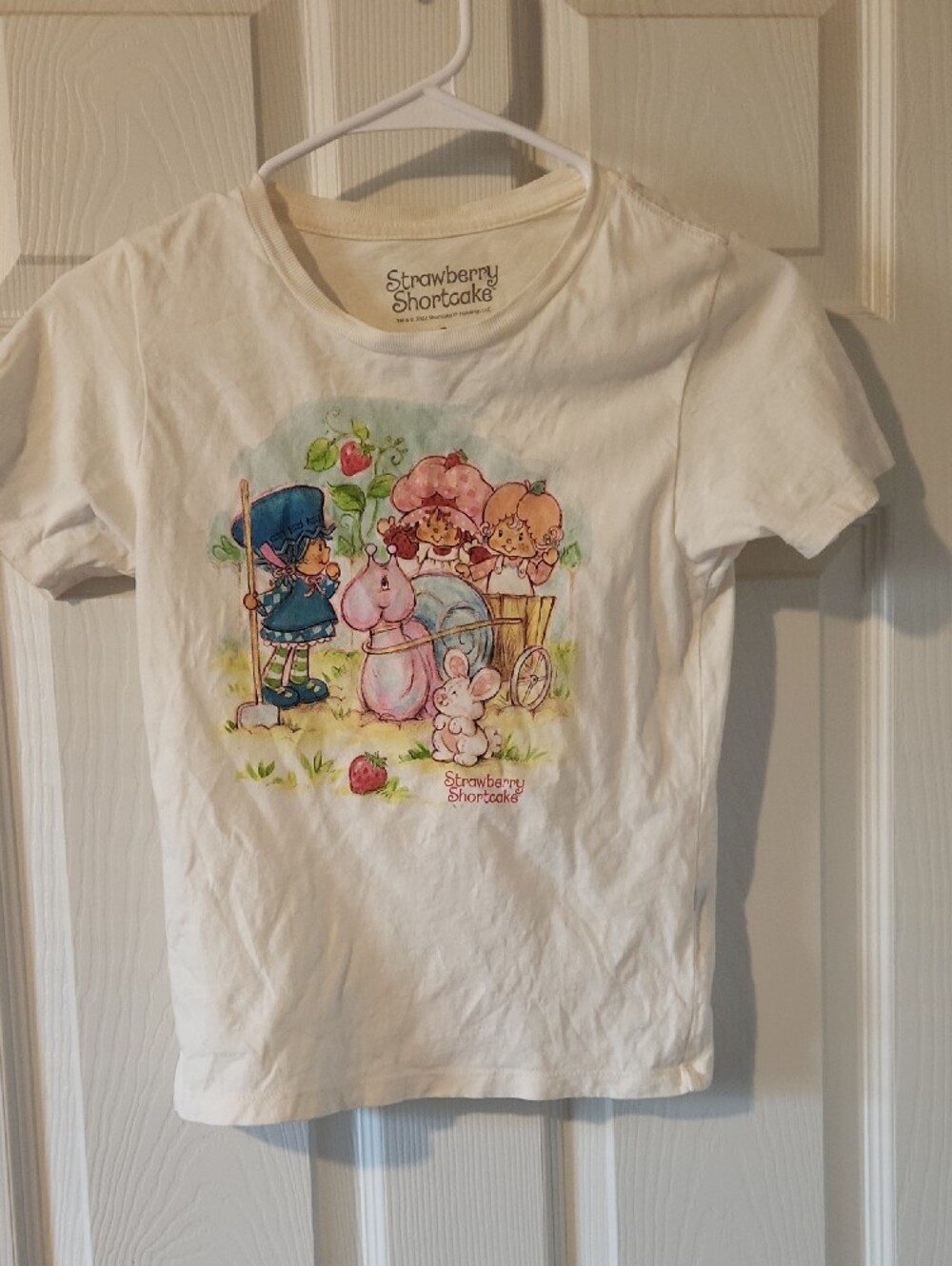 Strawberry Shortcake Girls' White Cotton Tee - Brand Name: Strawberry Shortcake